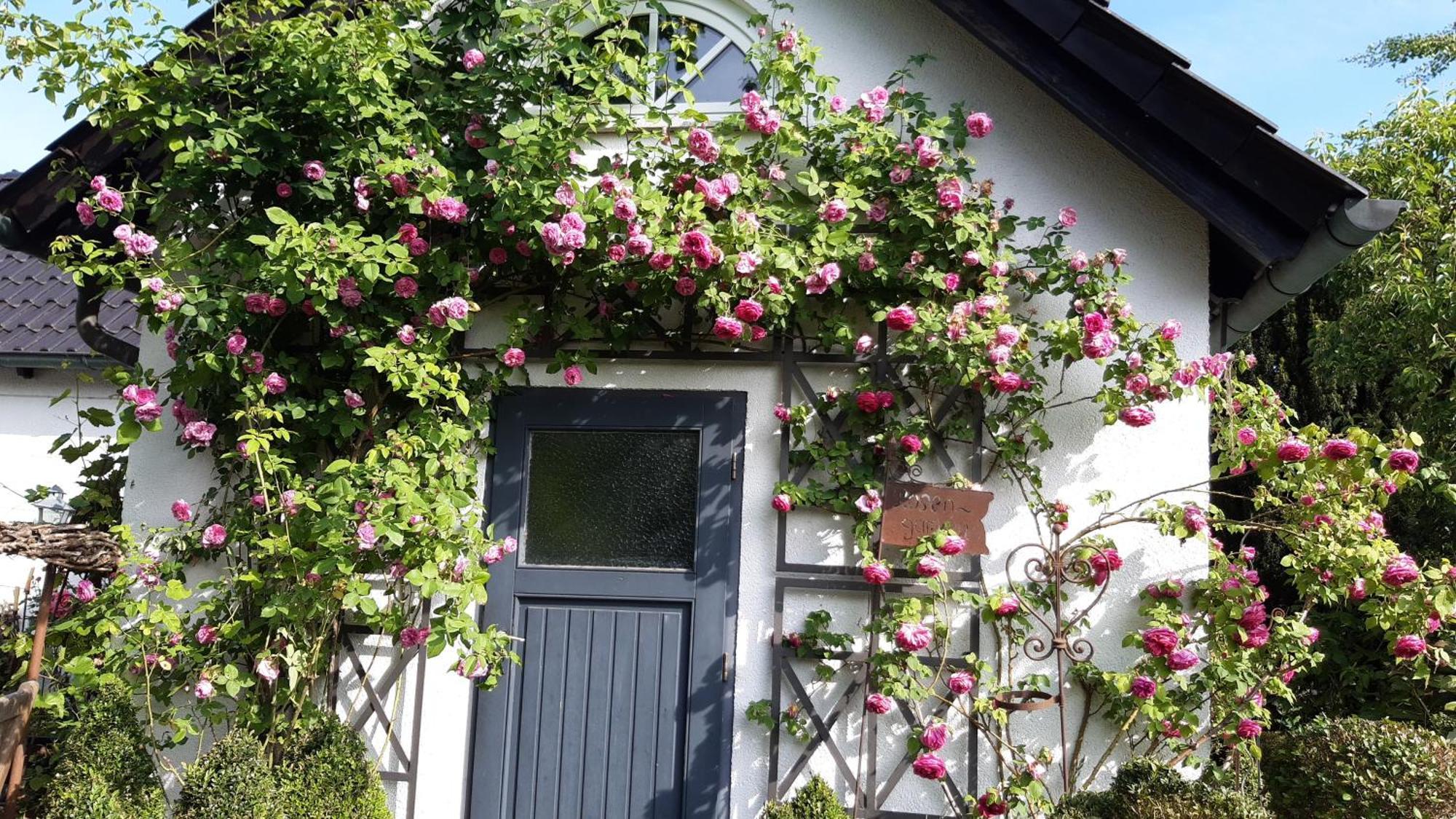 Tina'S Home Gutersloh Exterior photo